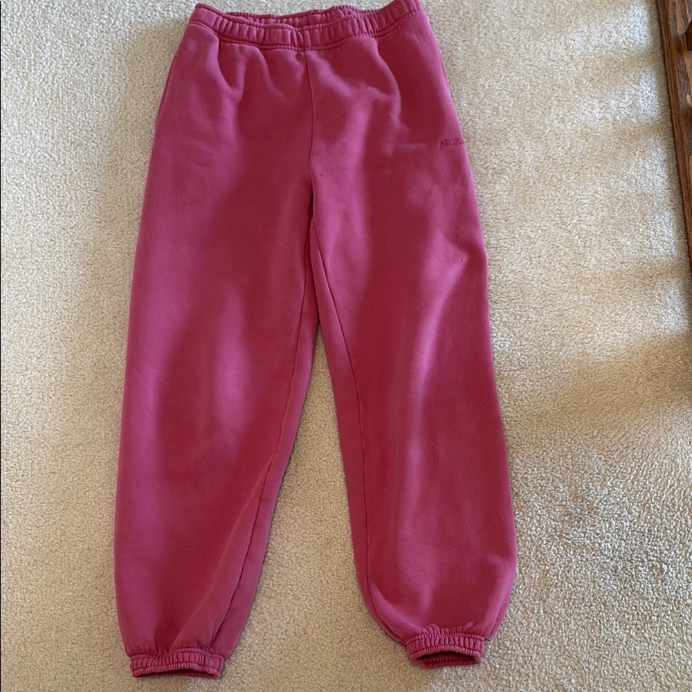 Aritzia Cozy Sweatfleece Mega Jogger Sweatpants